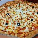 스쿨마니아 이미지