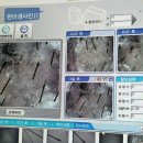 두피 탈모 아미치 0.3 수원점 이미지