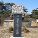 독성서사 이미지