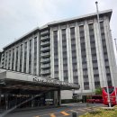도쿄 자유여행 숙소 추천 쉐라톤 미야코 호텔 도쿄 실제투숙후기