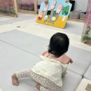 정규농장 | 롯데백화점 동래점 문화센터 롤리폴리 봄학기 후기