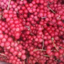 유경농장 이미지