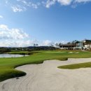 알펜시아 컨트리클럽 이미지