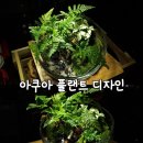 아쿠아플랜트디자인 이미지