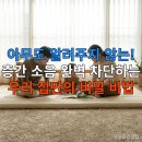 청약제도를 활용한 내집마련 전략 | 아무도 알려주지 않는! 층간 소음 완벽 차단하는 우리 집만의 비밀 비법