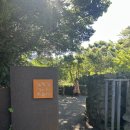 김영갑 | [2025 JEJU] 김영갑 갤러리 두모악 후기