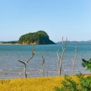 주문저수지 이미지