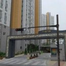 정철어학원송산국제캠퍼스학원