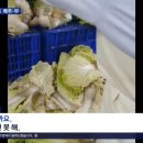 한성식품 티스토리