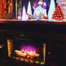 산속비버스 이미지