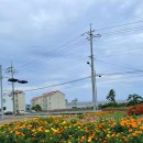 발로바쉬 민박 이미지