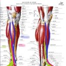 소운소 Ark Gym 이미지