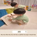 수 | 2026년 화성시 북스타트 플러스 보물 상자 구성 후기 아이 반응 기록