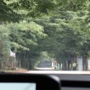 춘향로(17호선) 네이버블로그