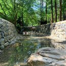 [대한민국구석구석 x TMAP] 산 vs 바다, 티맵 데이터로 본 최고의 피서지는? 이미지