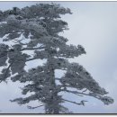 천왕봉가는길에 이미지