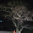 9정맥11차＜14＞/금북졸업,(나분들고개~안흥진)64km.. 그 끝에서... 이미지