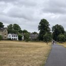 소들의 천국 이미지