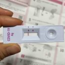 에스디(SD)유통 | SD 에스디바이오센서 신속항원검사 자가진단키트...후 결과, 2회분, 동영상 링크 공유, 내돈내산 상세후기