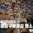 중곡어린이공원 | 어린이대공원 벚꽃 명소: 광진구 퇴근길 벚꽃엔딩 코스 현황