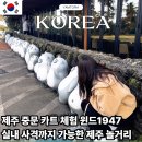 1947 | 제주 중문 카트 체험 윈드1947 후기 실내 사격까지 가능한 제주 놀거리