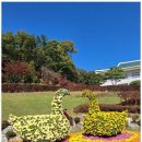 행정사사무소 고려 이미지