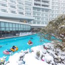 모아온천 이미지