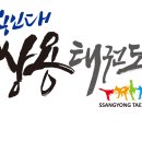 용인대쌍용태권도 이미지