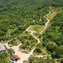 안면도자연휴양림 이미지