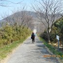 거문초손죽분교장 이미지