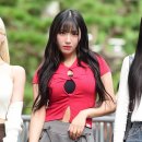 초원 이미지