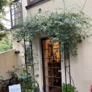 커피철학 | 🇯🇵 교토: 철학의 길 근처 '보타닉 커피 교토 솔직 후기