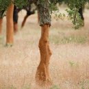 그린환경디자인 이미지
