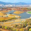 갈대정원 이미지