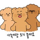 몰리스펫샵 스타필드 고양점 이미지