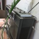 맘모스분식 이미지