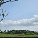 용두목장 이미지