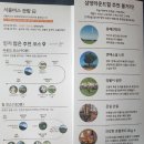 43. [평창 대관령]✨ 강릉 근교 힐링 스팟! 평창 삼양라운드힐 🐑 겨울왕국 인생샷 &amp; 꿀팁 대방출! ✨