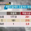 백봉 Daum카페