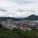 숲쟁이로L 네이버블로그