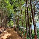 회동관광지 이미지