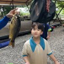 강촌포도팬션&캠핑장 이미지