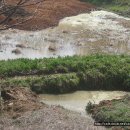 국일농장 이미지