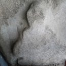 영풍두월리약사여래석불 이미지