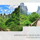 무릉도원 이미지