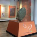 고양가와지볍씨박물관 이미지