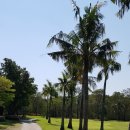 서귀포남원공인중개사사무소 이미지