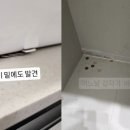 남미용실