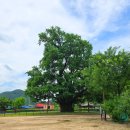 곽재우장군문화공원 이미지