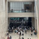 어제 오늘 국립중앙박물관 인파 근황 이미지